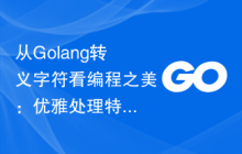 从Golang转义字符看编程之美：优雅处理特殊字符