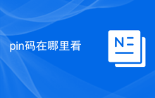 pin码在哪里看