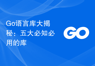 Go 언어 라이브러리 공개: 꼭 알고 사용해야 할 다섯 가지 라이브러리