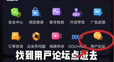 Douyin 20242024 暖かい旧正月コレクション カード 入り口