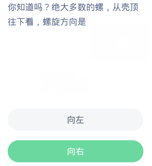 개미숲 마법의 바다 1월 25일: 껍데기 위에서 아래를 내려다보면 대부분의 달팽이의 나선형 방향은 다음과 같습니다.