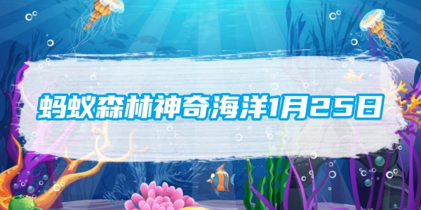 개미숲 마법의 바다 1월 25일: 껍데기 위에서 아래를 내려다보면 대부분의 달팽이의 나선형 방향은 다음과 같습니다.