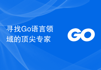 寻找Go语言领域的顶尖专家