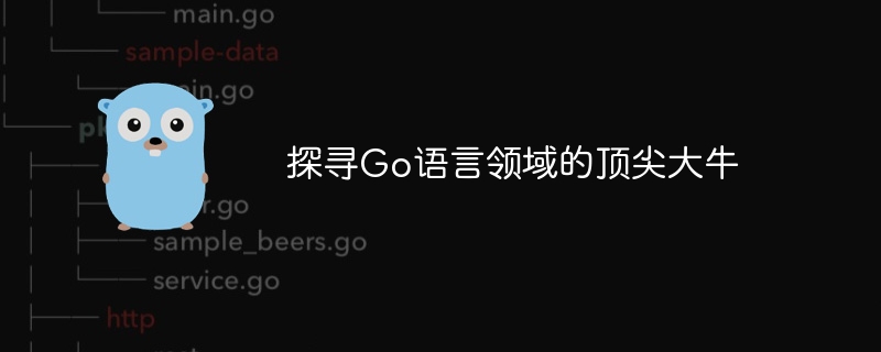 寻找Go语言领域的顶尖专家