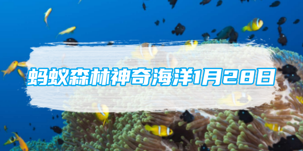 Lautan Ajaib Hutan Semut 28 Januari: Di ​​manakah habitat populasi ikan lumba-lumba putih China terbesar di dunia?