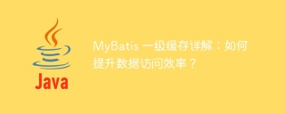 mybatis 一级缓存详解：如何提升数据访问效率？
