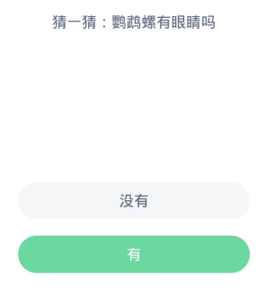 蚂蚁森林神奇海洋1月31日：鹦鹉螺有眼睛吗