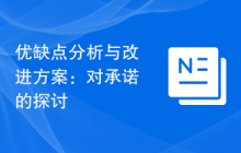 优缺点分析与改进方案：对承诺的探讨