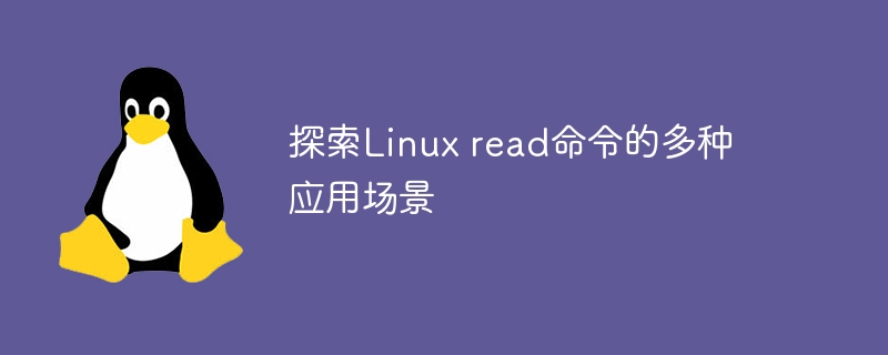 探索Linux read命令的多种应用场景