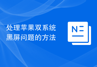 处理苹果双系统黑屏问题的方法