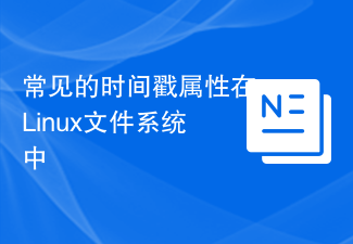 常見的時間戳記屬性在Linux檔案系統中