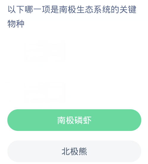 蚂蚁森林神奇海洋1月5日：以下哪一项是南极生态系统的关键物种