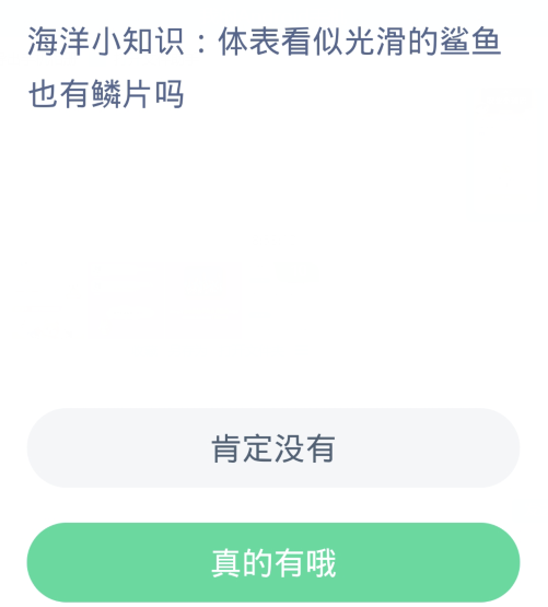 螞蟻森林神奇海洋1月3日：體表看似光滑的鯊魚也有鱗片嗎