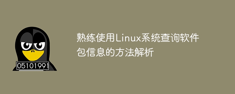 Linux システムでソフトウェア パッケージ情報をクエリするための手法を分析する