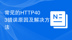 一般的な HTTP403 エラーの原因と解決策