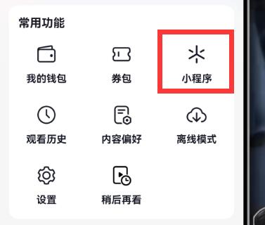 Where to open Douyin mini program