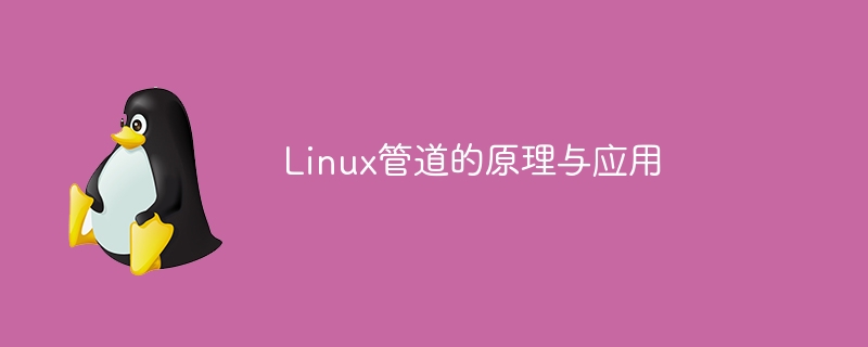 Linux管道的原理與應用