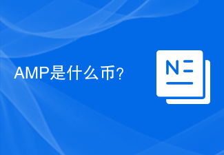 AMP是什麼幣?