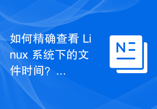 Linux 시스템에서 파일 시간을 정확하게 확인하는 방법은 무엇입니까?