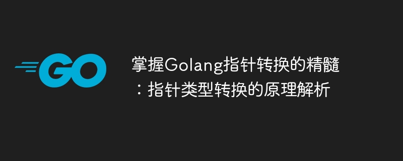 掌握golang指针转换的精髓：指针类型转换的原理解析