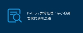 python 异常处理：从小白到专家的进阶之路
