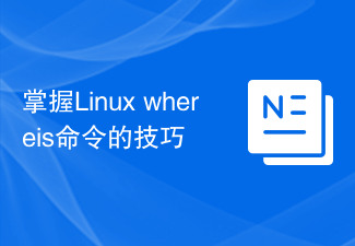 Linux whereis 명령 기술을 습득하세요.