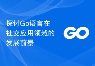 探讨Go语言在社交应用领域的发展前景