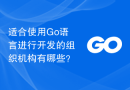 适合使用Go语言进行开发的组织机构有哪些？