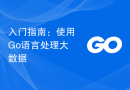 入门指南：使用Go语言处理大数据