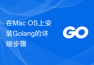 Detailed steps to install Golang on Mac OS