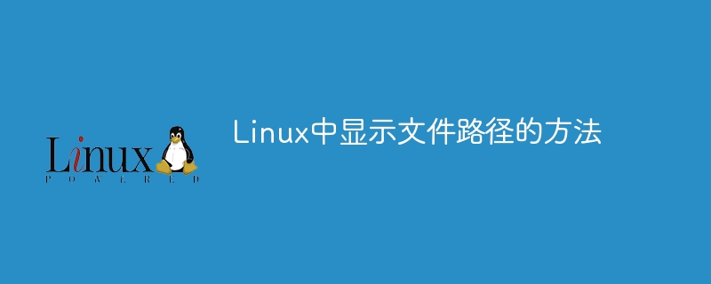 Linuxのファイルパスを表示する方法