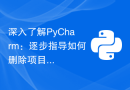深入了解PyCharm：逐步指导如何删除项目