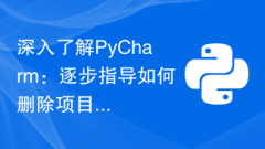 Learn more about PyCharm: step-by-step guide on how to delete projects