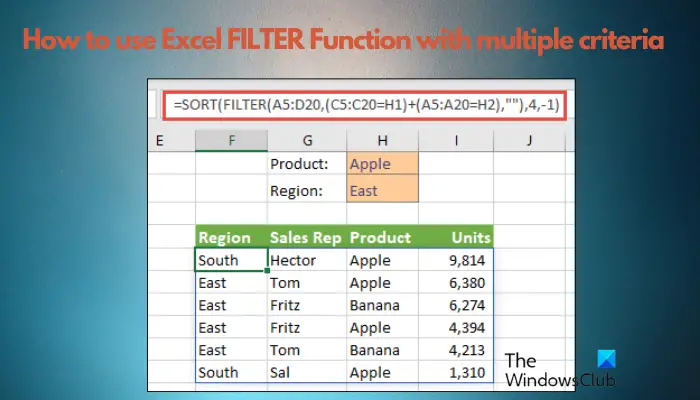 How to use Excel filter function with multiple conditions