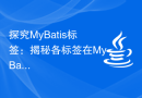 探究MyBatis标签：揭秘各标签在MyBatis中的实现原理和应用技巧