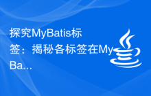 探究MyBatis标签:揭秘各标签在MyBatis中的实现原理和应用技巧
