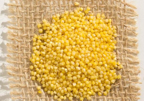 Ant Manor February 27: The origin of agriculture in my country is said to be southern rice and northern millet. Millet refers to