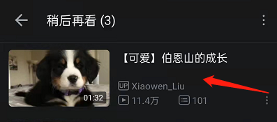 How to use the See you later function in Bilibili