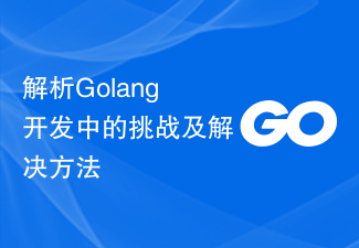 解析Golang开发中的挑战及解决方法