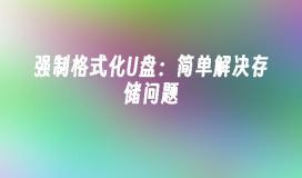 强制格式化U盘：简单解决存储问题
