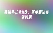 强制格式化U盘:简单解决存储问题
