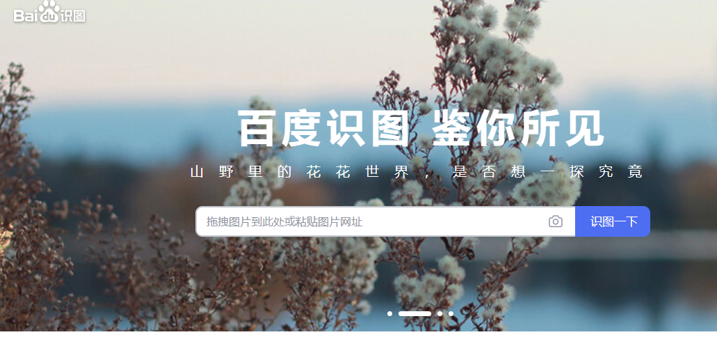 Portail en ligne « Baidu Picture Reading »