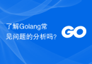 了解Golang常见问题的分析吗？