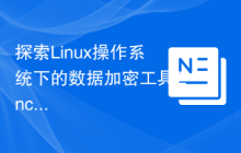 探索Linux操作系统下的数据加密工具EncryptPad