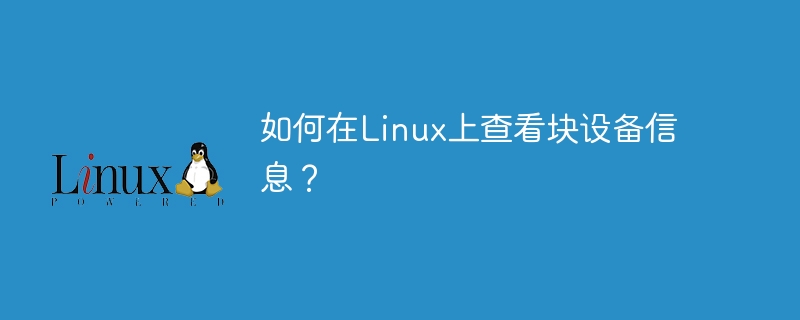 Linux 환경에서 블록 장치 정보를 보는 방법은 무엇입니까?