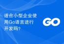 适合小型企业使用Go语言进行开发吗？