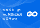 专家观点：golang系统的适用场景及建议