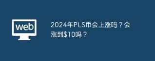 2024年PLS币会上涨吗？会涨到$10吗？