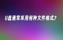 U盘通常采用何种文件格式？