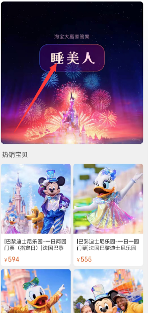 Taobao Big Winner 8.7 Answer Sharing-Which princess lives in the castle of Disneyland Paris?